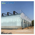 Customized Agricultural Vegetable Greenhouses